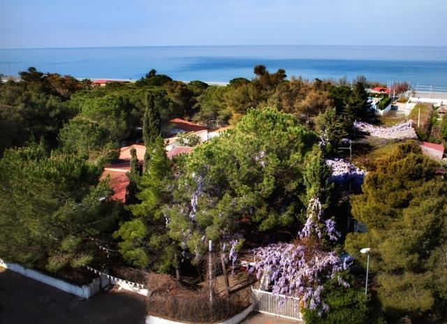 Villaggio La Pantera Rosa Scalea Extérieur photo